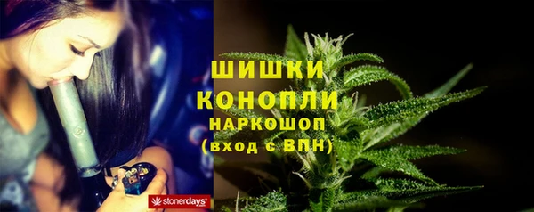 трава Арсеньев