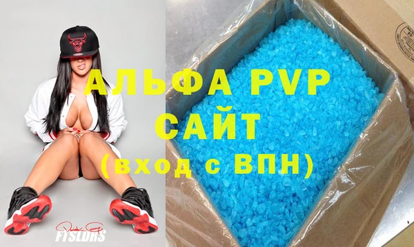 прущие грибы Осташков