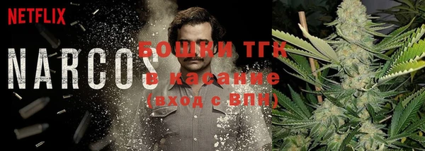трава Арсеньев