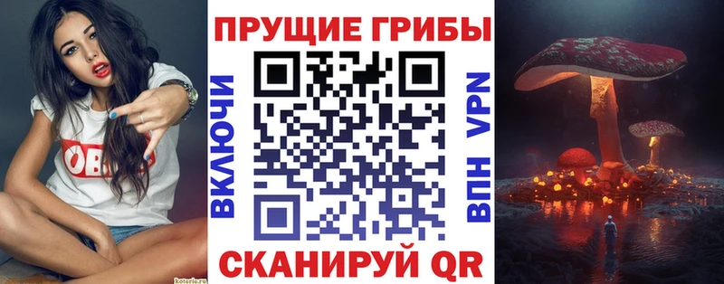 площадка состав  Свирск  Галлюциногенные грибы GOLDEN TEACHER 